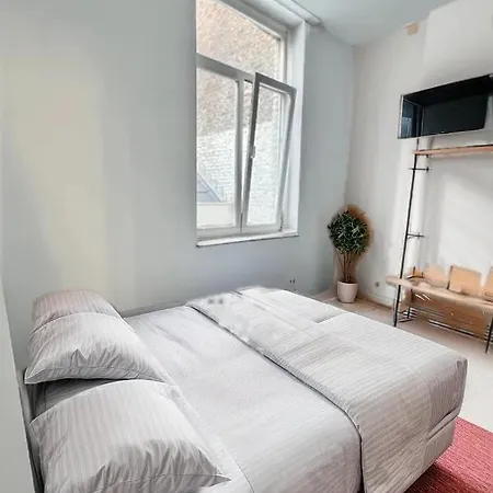 Rive Gauche F Centre - Gare - Aeroport アパート シャルルロワ